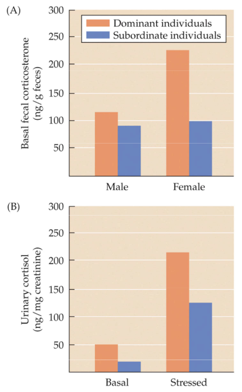 <p>Fig. 11.17 Corticosterone concentrations in dominant wild dogs and mongooses</p>