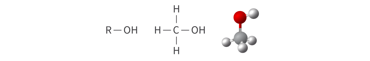 <ul><li><p>hydroxy functional group: oxygen atom bonded to a hydrogen atom</p></li><li><p>a single covalent bond</p></li></ul><p>Bond: OH</p><p></p>