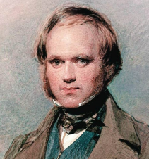 <p>Charles Darwin</p>
