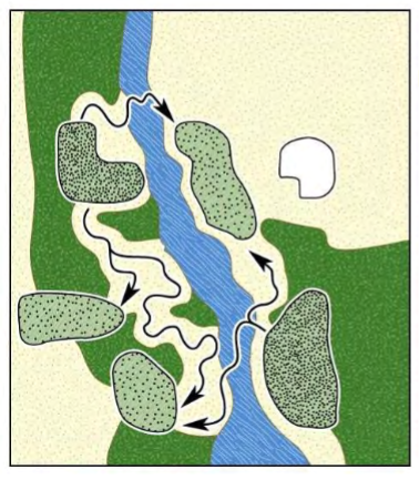 <p>modification of the source-sink model that eliminates the last assumption (the intervening matrix does influence Pc and Pe)</p><p>matrix influences movement between patches, patch quality due to what is in the matrix</p><p>positives in patch quality from matrix: food, roosts, nesting material, pollinators</p><p>negatives in patch quality from matrix: predators, disease</p>