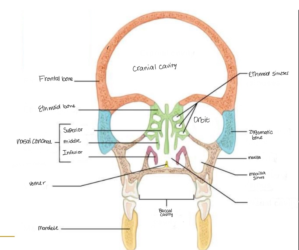 <p><br>label missing word on diagram</p>