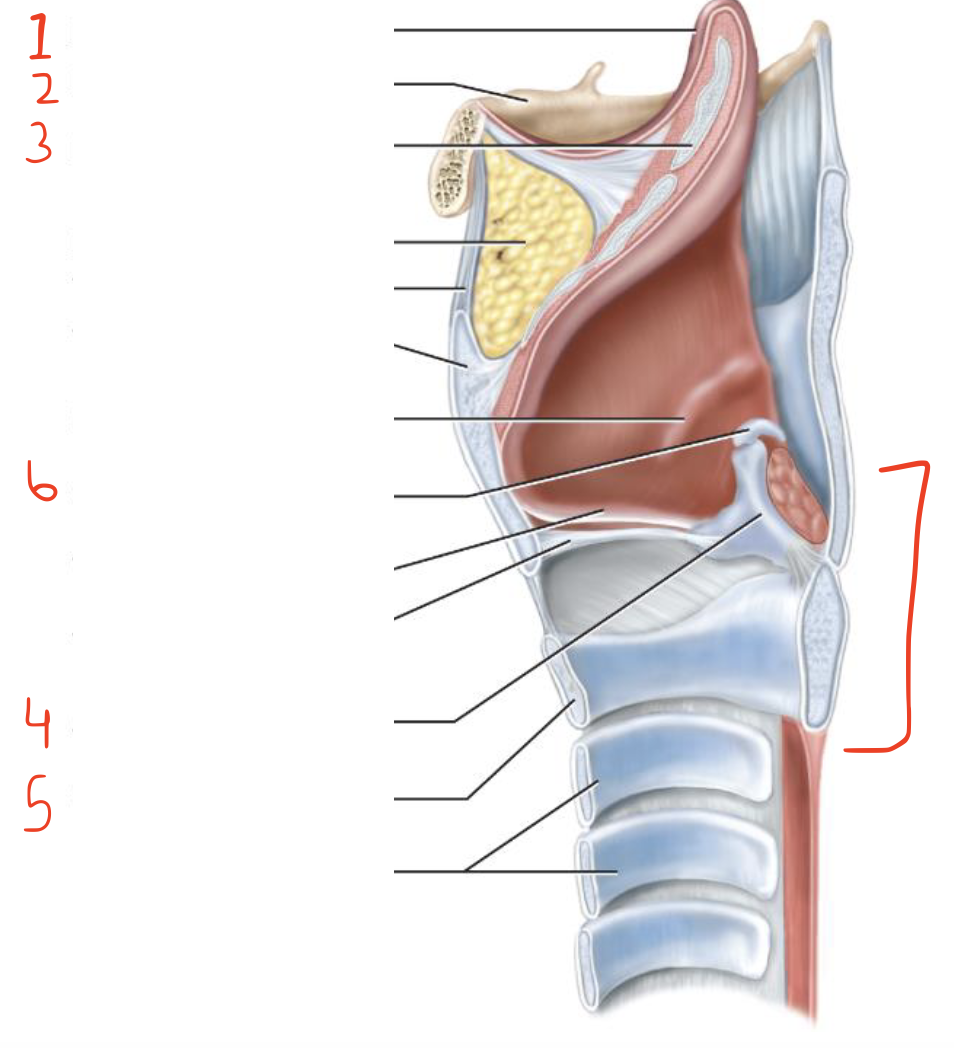 <p>Name spot 5</p>