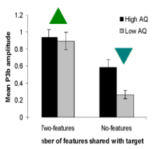 <ul><li><p>participants with higher AQ scores were quicker at the visual search task than those with lower AQ scores</p></li><li><p>participants with higher AQ scores generated larger P3b amplitudes to distracting stimuli than the low AQ group</p></li></ul><p></p>