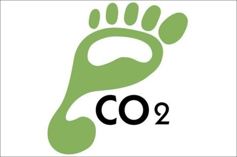 <p>carbon footprint</p>