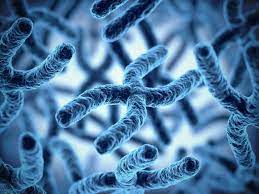 \
Biological therapy assumes that abnormal functioning results from