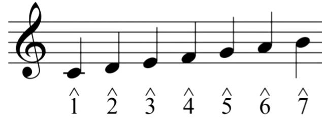 <p>1 (do) - tonic, 2 (re) - supertonic, 3 (mi) - mediant, 4 (fa) - subdominant, 5 (sol) - dominant, 6 (la) - submediant, 7 (ti) - leading tone/subtonic.</p>