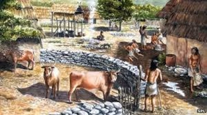 <p>The taming of or enslavement of animals for human use. Ie, dogs, cows, chickens.</p>