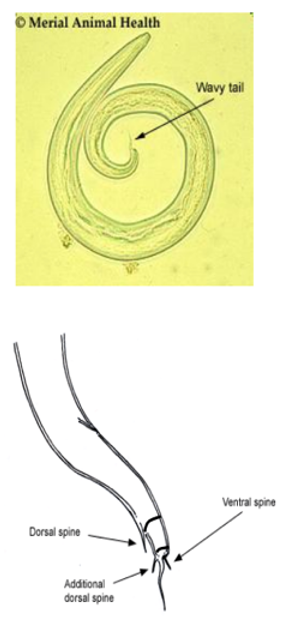<p>?</p>