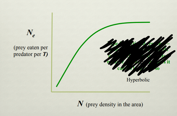 <p>What does this graph show</p>