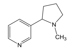 <p>A base</p>