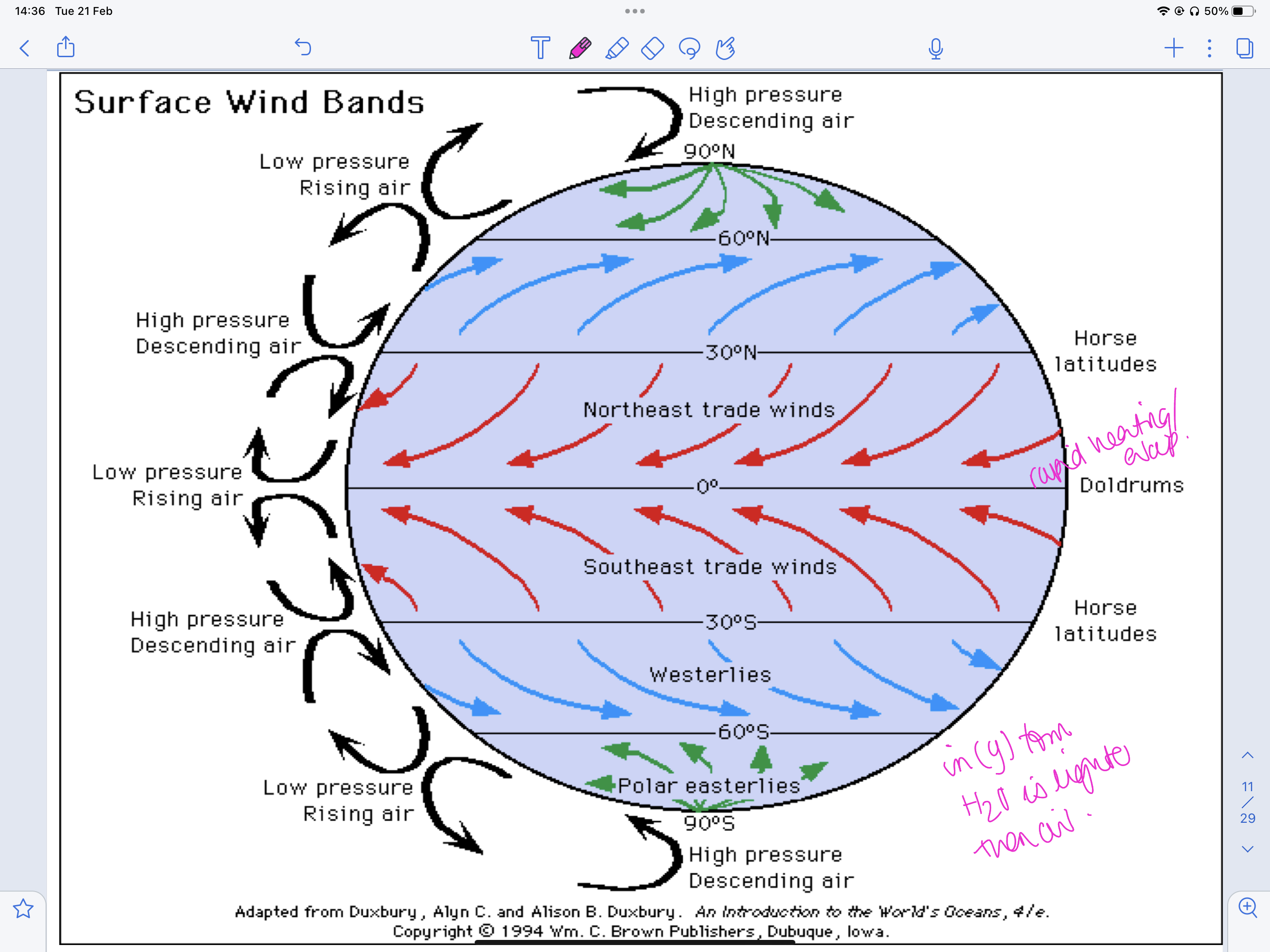 knowt flashcard image