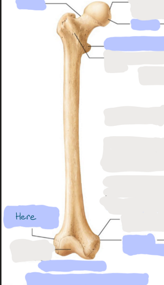 <p>What is here?</p>