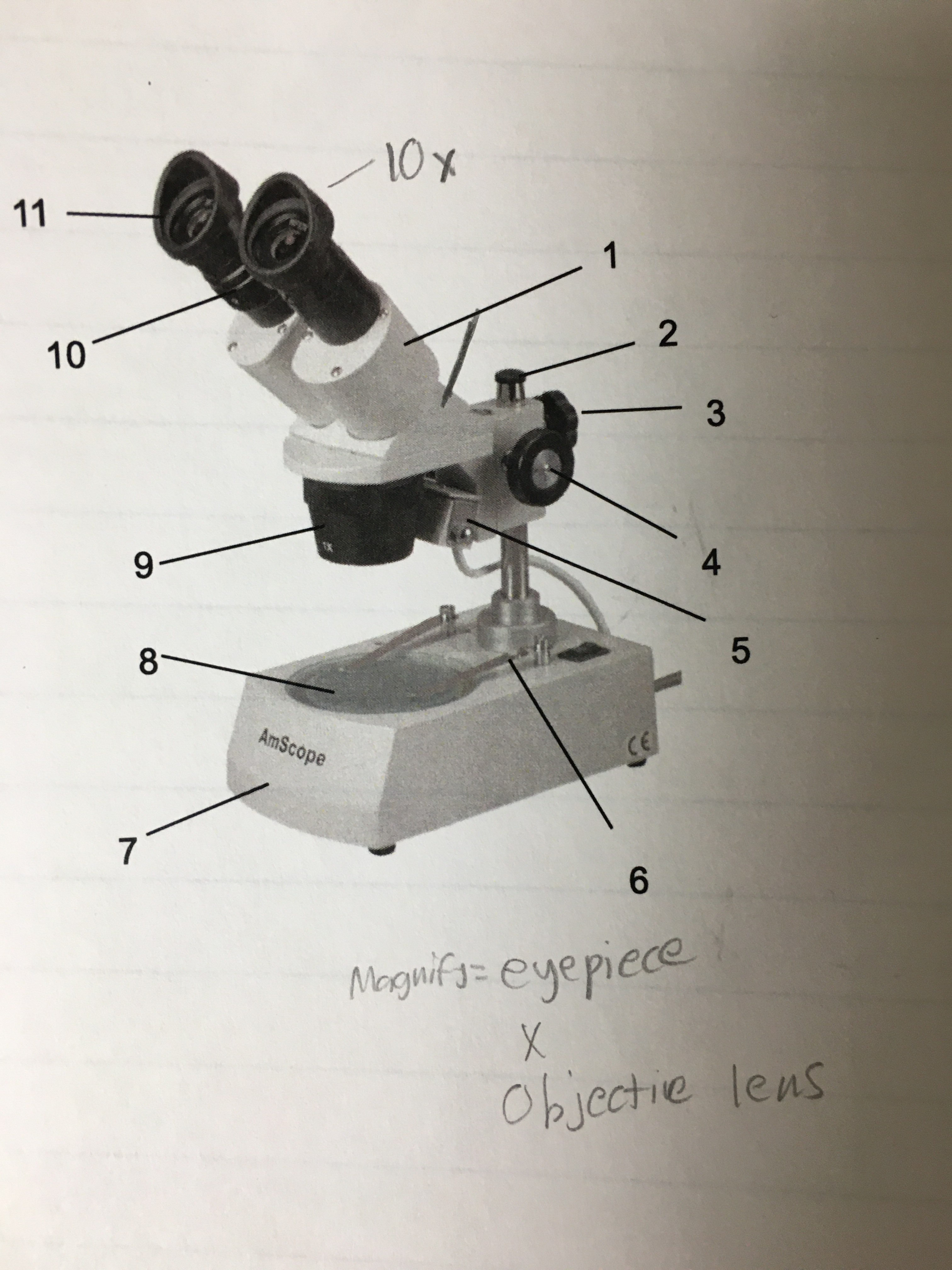 <p>Set Screw</p>