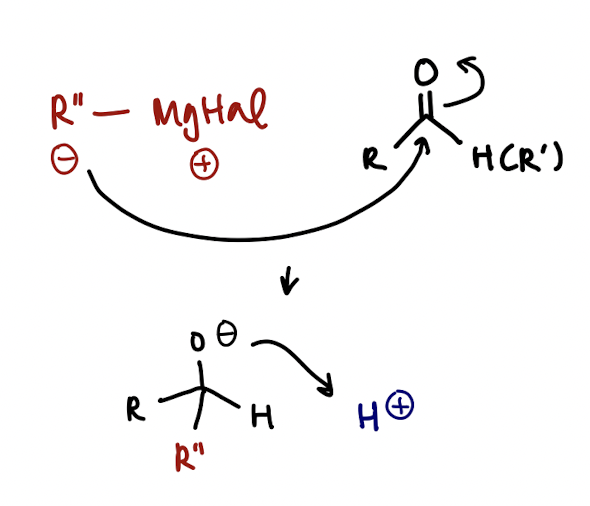 <p>MgHal has a positive charge &amp; is a spectator ion<br><br>Nuc attack of R- on central carbon to reduce C=O bond, then protonation of O (acid workup)</p>