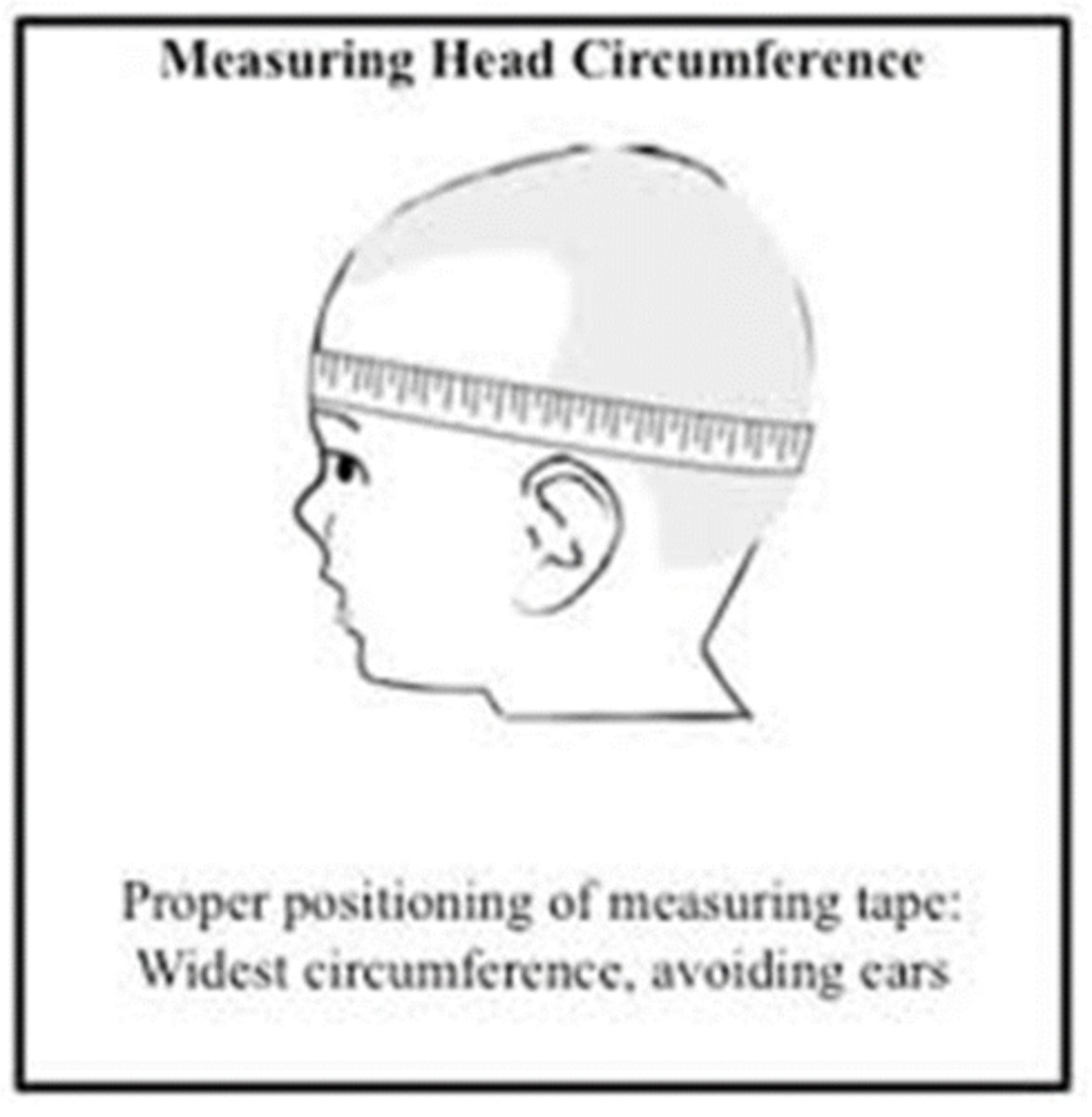 <p>Measure at greatest circumference -&gt; place tape measure slightly above points just above the eyebrows and the pinna and around the occipital prominence.</p><p>To nearest millimeter, measure 3 times and take largest .</p><p>Plot on appropriate growth chart.</p>