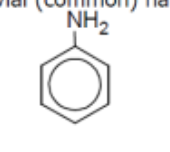 <p>name</p>