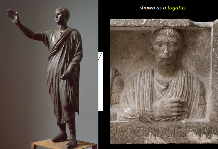 <p>Togatus</p>
