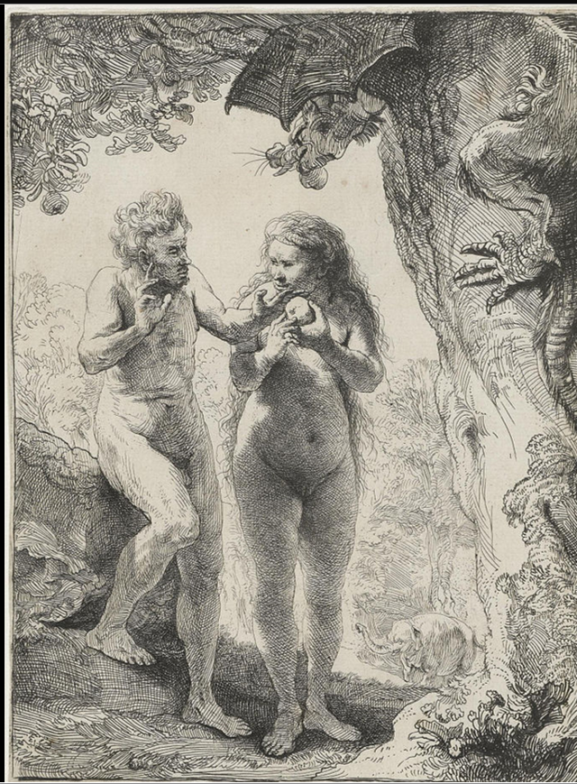 term image