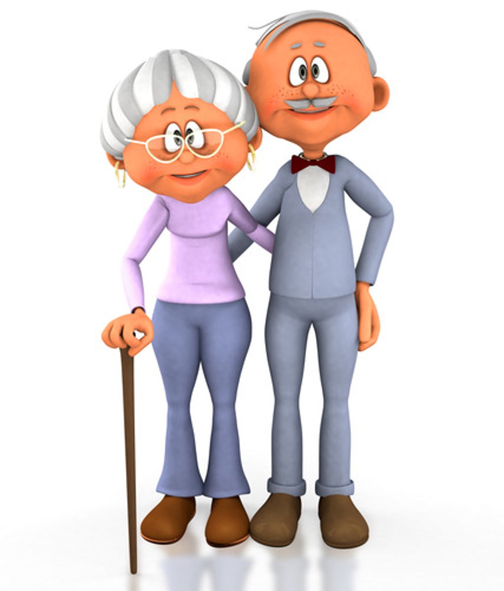 <p>grandparents</p>