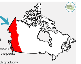 <p>Western Cordillera </p>