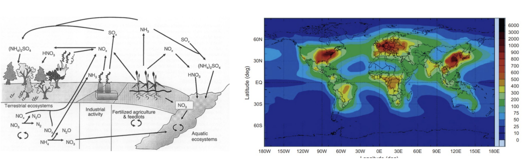 <p>how does the <strong>atmospheric deposition of nitrogen </strong>relate to <strong>fossil fuel emmision?</strong></p>