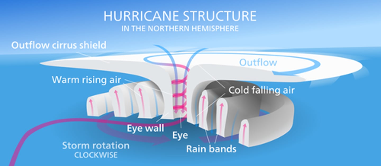 <p>Tropical storms are circular in shape , hundreds of km wide and usually last 7-14 days. They spin counterclockwise in the northern hemisphere and clockwise in the Southern Hemisphere.</p>