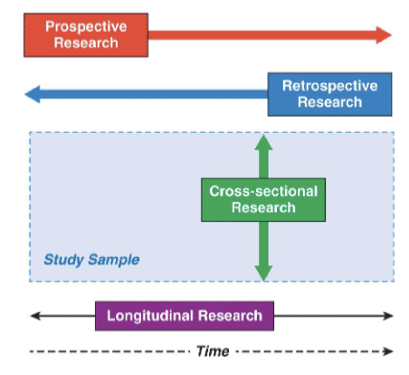 <p>- following subjects across time and collecting data at intervals</p><p>- prospective: direct recording or measurements</p><p>- retrospective: examining previously collected data</p>