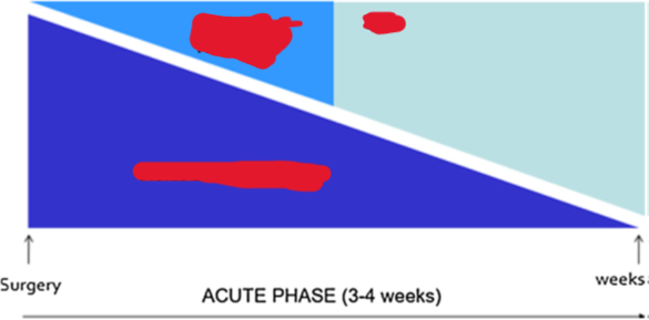 <p><span style="color: red"><strong>How is the <u>acute phase</u> of SBS managed? (aka describe how fluids, TPN, and EN are managed from right after surgery to weeks after.)</strong></span></p>