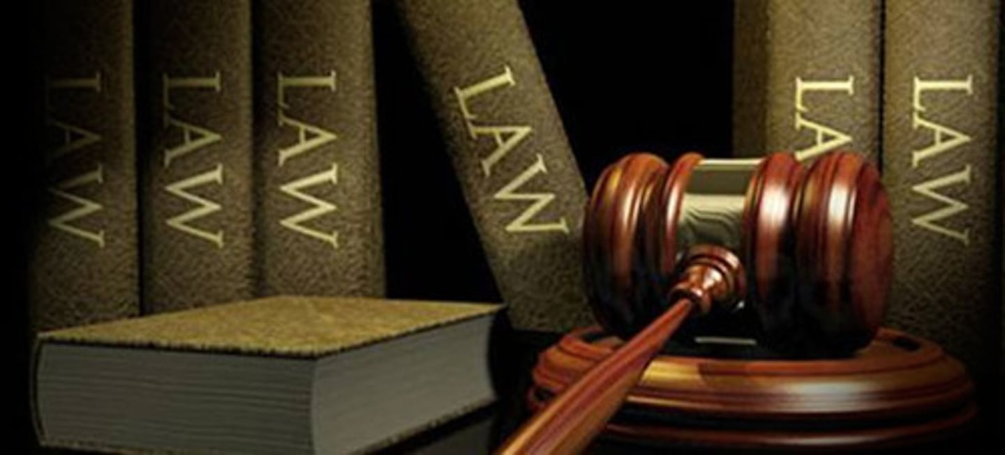 <p>v. hợp pháp hóa</p>