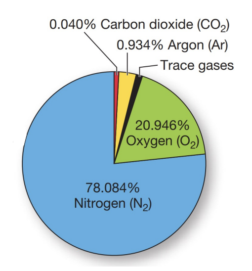 <p>what does this image show?</p>