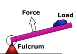 <p><span>Where is the fulcrum on a Class 3 lever?</span></p>