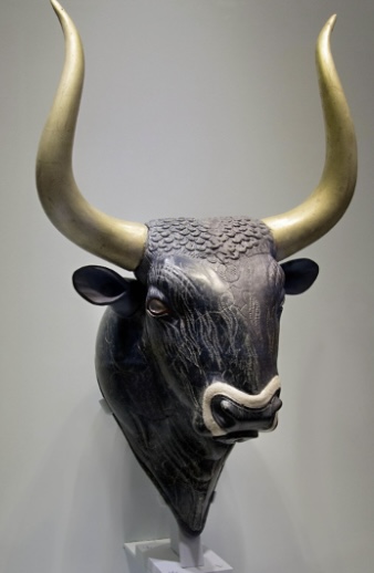 <p>Material</p>