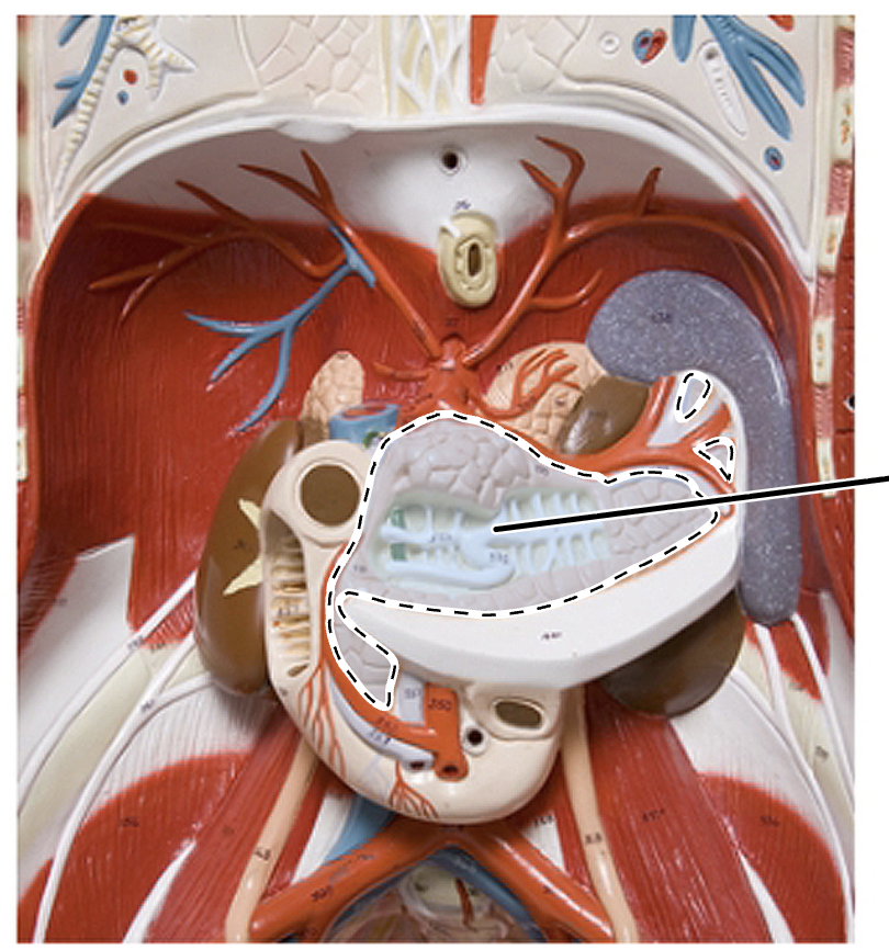 <p>What is this?</p>