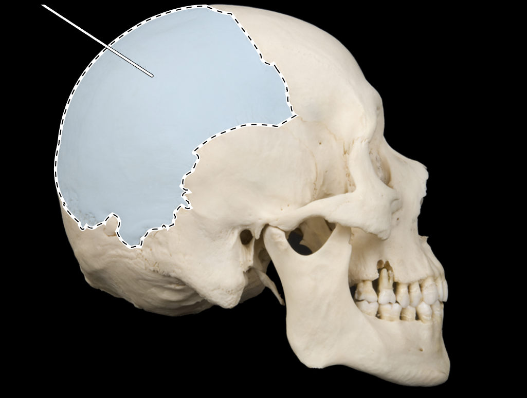 <p>what is shaded blue </p>