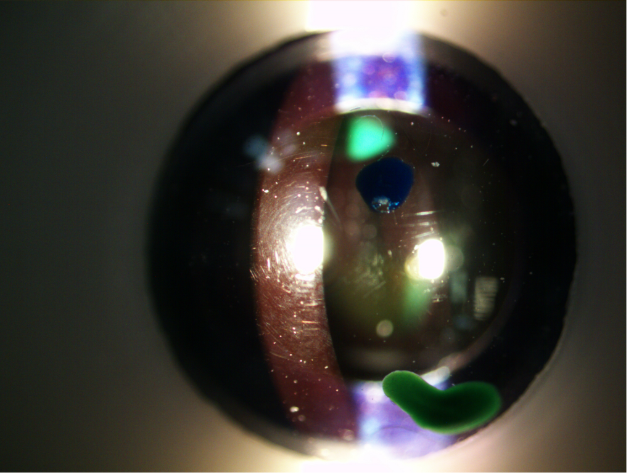 <p>what surface is in focus here</p>