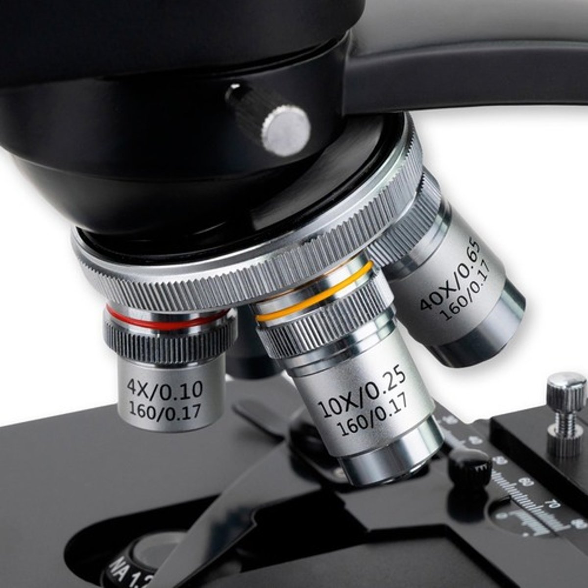 <p>They are used for specimen visualization and have magnification powers ranging from 40x to 100x.</p>