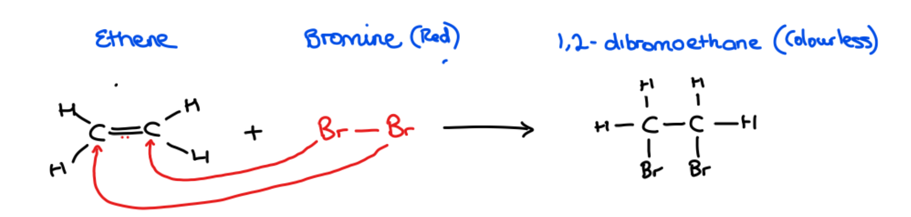 <p>• <strong>Addition reaction</strong> – the adding of a bromine molecule across a double bond, breaking the double bond</p><p>Equation:</p><p>C<sub>2</sub>H<sub>4</sub> + Br<sub>2</sub> → CH<sub>2</sub>BrCH<sub>2</sub>Br</p><p>Ethene + Bromine (red) → 1,2- dibromethane (colourless)</p><p>Notice: The product formed <strong>1,2 dibromoethane</strong> is colourless - this proves unsaturation</p>