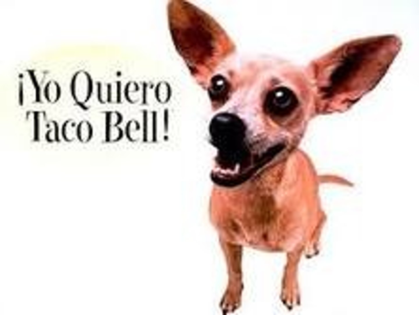 <p>querer</p>