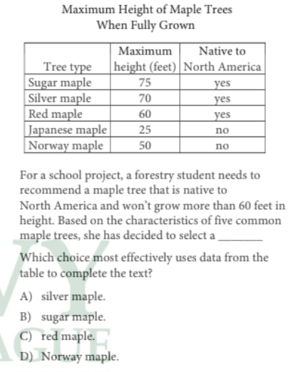 <p><strong>maple tree</strong></p>
