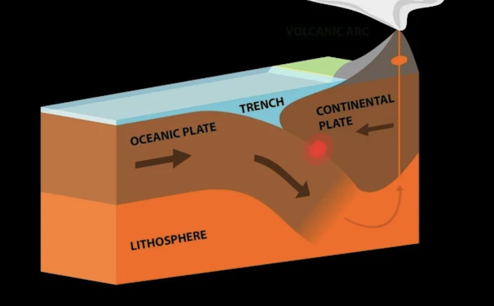 <p>Type of tectonic plates that make up the ocean floor.</p>