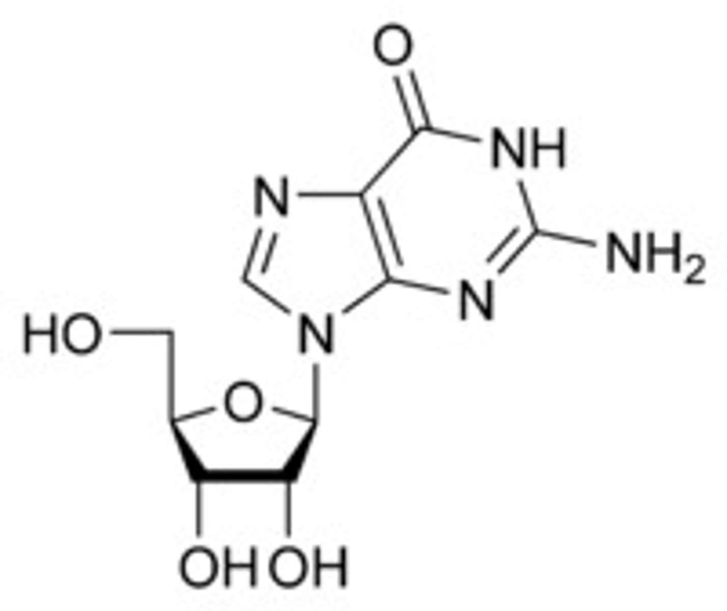 <p>nucleoside</p>