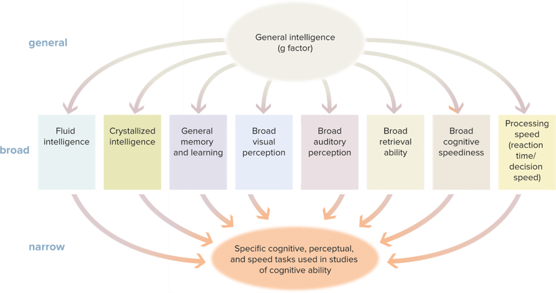 <p><span style="font-family: Arial, sans-serif">The idea that intelligence consists of distinct dimensions and is not just a single factor. Analytical, practical, creative.</span><span>&nbsp; finds </span>How are you intelligent.</p>