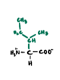 <p>A non-polar amino acid that is an isomer of leucine.</p>