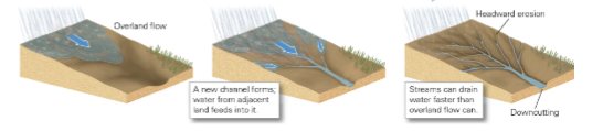 * Overland flow eventually forms a channel and water from adjacent land feeds into it. This channelized water is now able to drain faster compared to overland flow

\
