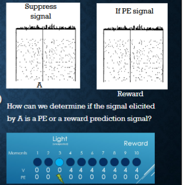 <p>if the signal is PE, we prevent computaition of PE at the time of cue but we don’t impact value (assocaitbie strength) Since V is present, when the reward is delivered, we get no RPE at the time of reward > the tone is thus blocked from forming an association so no learning</p><p></p><p>we are inhbiting pomutation of PE not representation of V and</p>