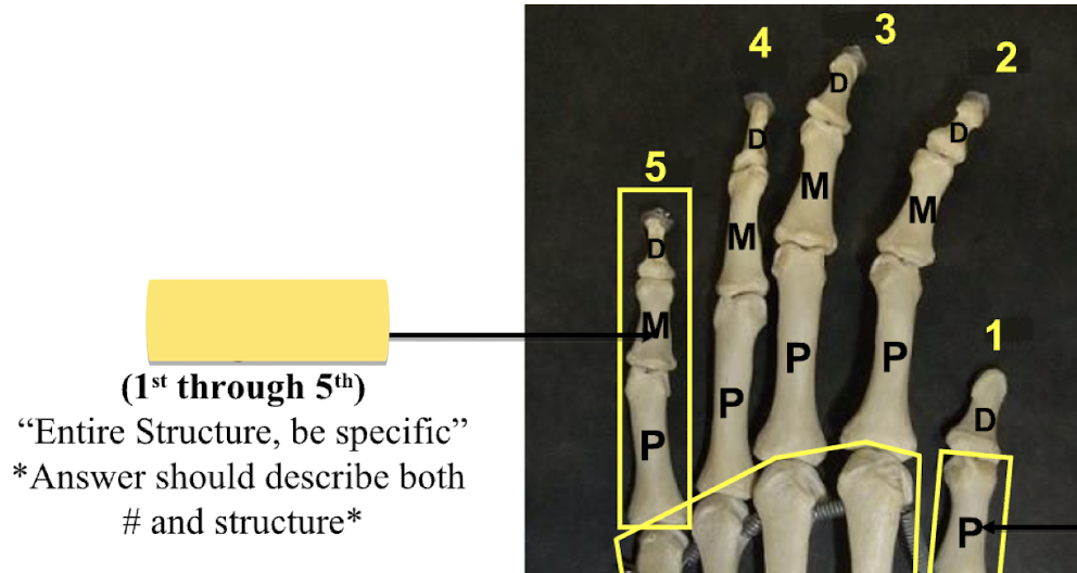 <p>Entire structure be specific </p>