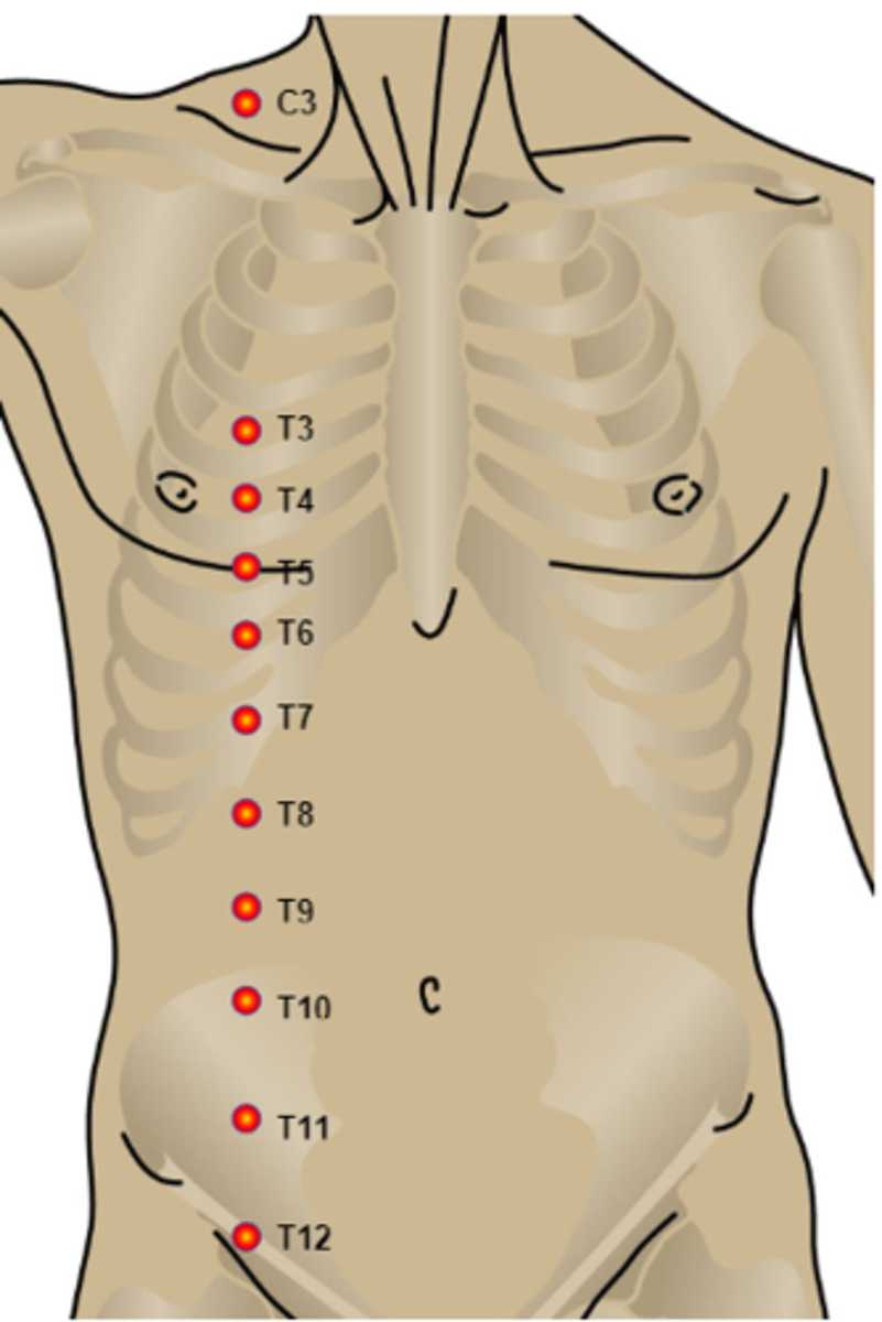<p>C2 - behind the ear</p><p>C3 - supraclavicular fossa (midclavicular line)</p><p>C4 - AC joint</p><p>C5 - radial side of antecubital fossa</p><p>C6 - dorsum hand on proximal phalanx of thumb</p><p>C7 - dorsum hand on proximal phalanx of middle finger</p><p>C8 - dorsum hand on proximal phalanx of little finger</p><p>T1 - ulnar side of antecubital fossa</p><p>T2 - apex of axilla</p><p>T3 - Midclavicular line @ 3rd ICS</p><p>T4 - 4th ICS @ nipple line</p><p>T5 - 5th ICS (midway btw T4 and T5)</p><p>T6 - 6th ICS @ level of xiphisternum</p><p>T7 - 7th ICS (midway btw T6 and T10)</p><p>T8 - 8th ICS (midway btw T6 and T10)</p><p>T9 - 9th ICS (midway btw T8 and T10)</p><p>T10 - 10th ICS @ umbilicus</p><p>T11 - 11th ICS (midway btw T10 and T12)</p><p>T12 - Midpoint of inguinal ligament</p><p>L1 - Midway btw T12 and L2</p><p>L2 - Mid-anterior thigh</p><p>L3 - Medial femoral condyle</p><p>L4 - Medial malleolus</p><p>L5 - Dorsum of foot on 3rd MTP</p><p>S1 - Lateral heel</p><p>S2 - Popliteal fossa</p><p>S3 - Ischial tuberosity</p><p>S54-S5 - perianal area</p>