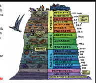 <ul><li><p>In undisturbed strata, the oldest layers are at the bottom and the youngest at the top</p></li></ul><p></p>