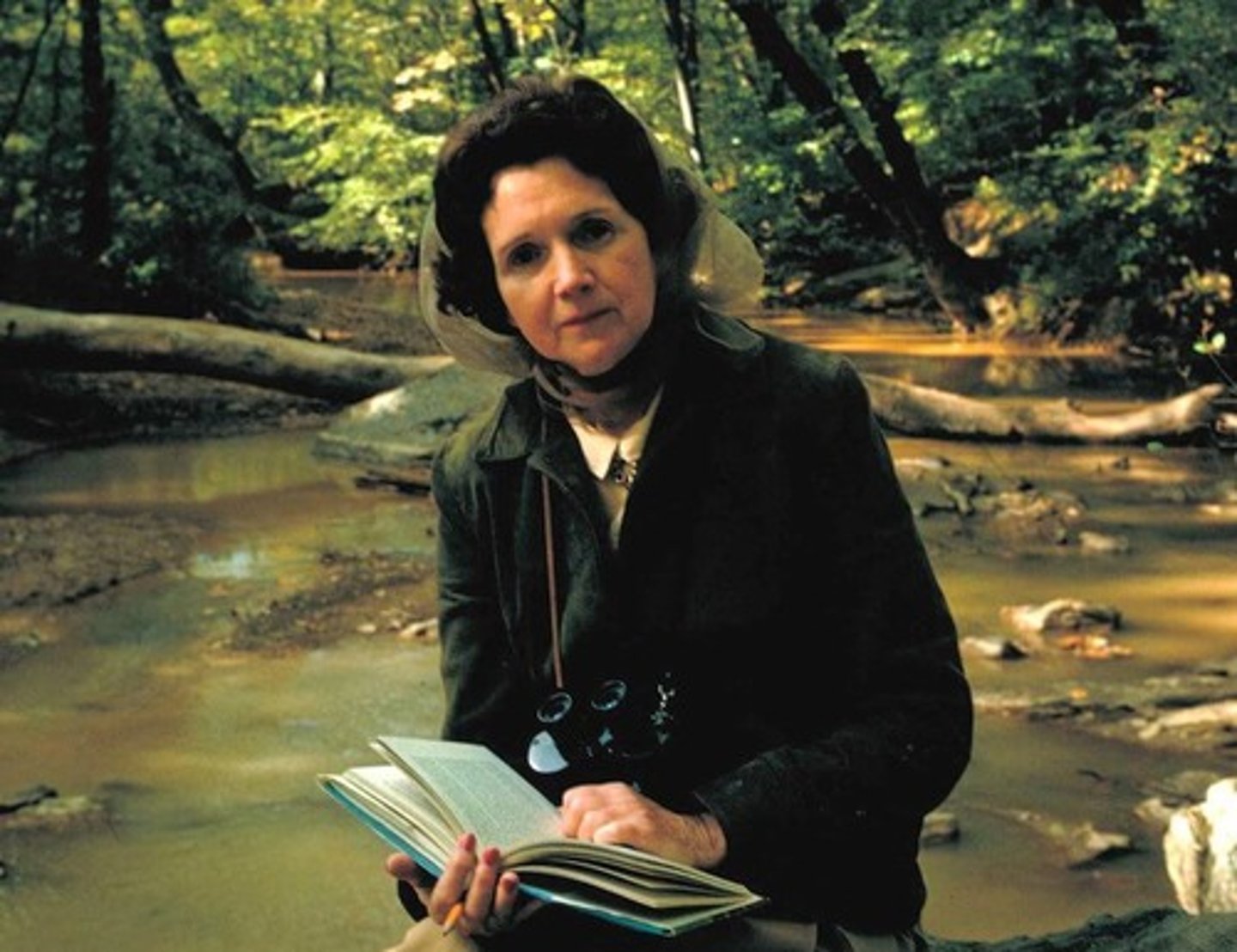<p>A book written by Rachel Carson to voice the concerns of environmentalists. Launched the environmentalist movement by pointing out the effects of civilization development.</p>