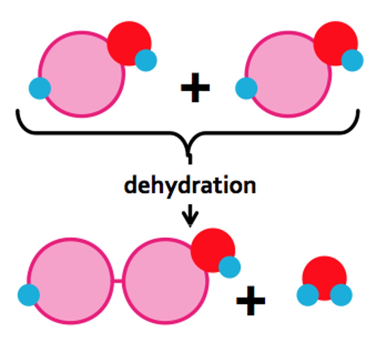 <p>Forming polymers by removing water</p>